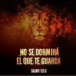 Meet your Posher, Angelica